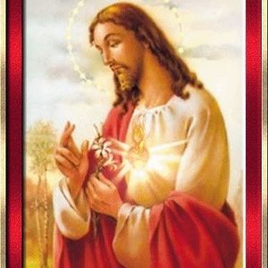 Meet your Posher, Faviola